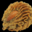 La bague de Kenza. Coquillage