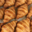Les Caprices de Charlotte. Croissants