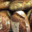 Maison Hecht. Pain de campagne bio