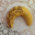 Les Delices de Micha. Banane