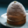 Jojo&Co. Mont-Blanc