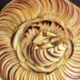 Boulangerie Leroy Monti. Tarte aux pommes