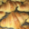 Boulangerie Leroy Monti. Croissants