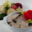 Le Triomphe. Ris de veau financier