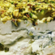 Gorgonzola/Mascarpone/Pistache