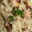Risotto  girolles poulet 