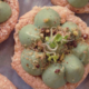 Biscuit à la noix de coco et crémeux de thé matcha