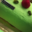Le comptoir de Milana. Bûche pistache framboise