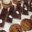 Pâtisserie Poncet&Co