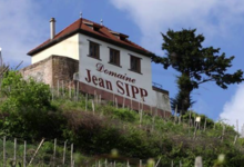Domaine Jean Sipp