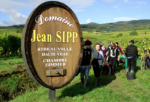 Domaine Jean Sipp