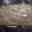 Ferme Goettelmann. Pâté de campagne