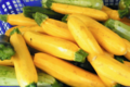 Willers-hof. Mini courgettes