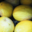 Willers-hof. Melon jaune