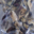 La ferme de Saint-André. Chips betterave aubergine