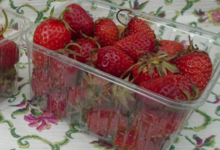 La ferme de Saint-André. Fraises