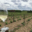 domaine moyer