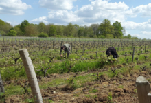 domaine moyer
