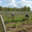 domaine moyer