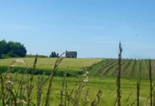 domaine moyer