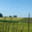 domaine moyer