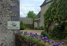 domaine moyer