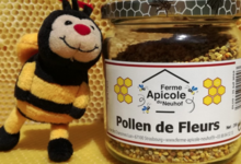 Ferme Apicole du Neuhof. Pollen de fleurs