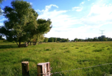 GAEC Boehmler. Au Domaine du Charolais