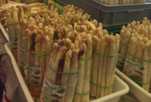 La Ferme De La Plume D'or. Asperges
