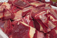 Ferme Humbert. Plat de côte