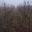 Domaine Bechtold