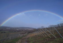 Domaine Bechtold