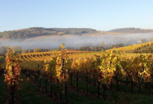 Domaine Bechtold