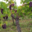 Domaine Bechtold