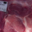 Ferme de la coccinelle. Escalope de porc bio