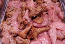 Wittmann-Brand. Emincé de veau aux girolles