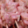 Wittmann-Brand. Brochette de veau