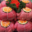 Boucherie-Charcuterie-Traiteur Wittmann-Brand