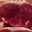 Boucherie Chez Laurent. faux filet aubrac
