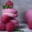 Etoiles filantes. Macaron framboise