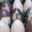 Les Suprêmes, chocolaterie artisanale. Oeufs de pâques