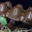Les Suprêmes, chocolaterie artisanale. Boîte à oeufs