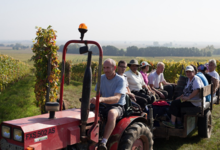 Meyer Eugène, vins d'Alsace