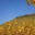 Domaine Dirler-Cadé