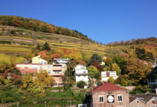 Domaine Dirler-Cadé