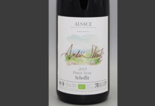 André Stentz. Pinot noir Schoflit