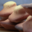 La Pompadour. Madeleines