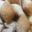 Maison Lhérault. Beignets