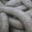 Boucherie Courtinat. Saucisse au chou