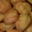 Boucherie Courtinat. Gougères